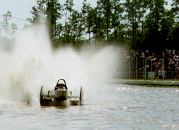 Swamp Buggy Photo