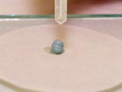 Applying a pea-sized blob of the compound